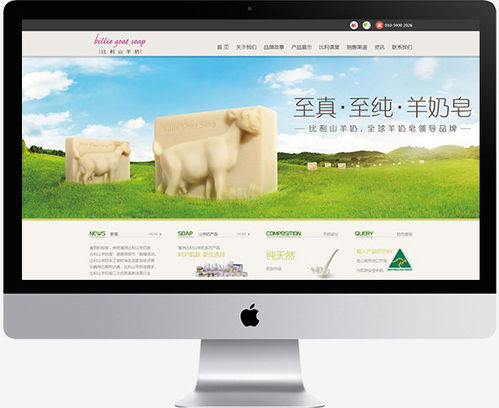 傲来网络 一站式数字营销解决方案，驱动品牌增长新引擎