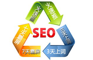 牛推家园 深耕上海SEO优化与网络推广，打造营销策划优质品牌